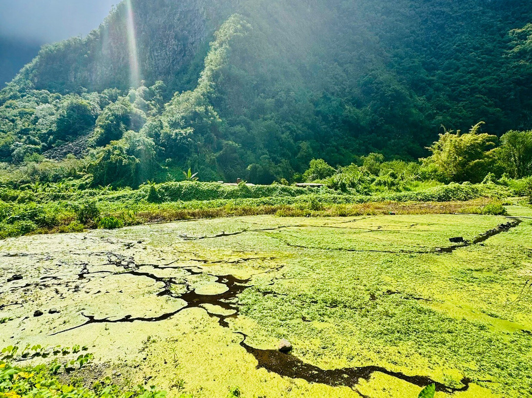 Crazy Adventures Réunion-Mont-Vert les Hauts必去景点
