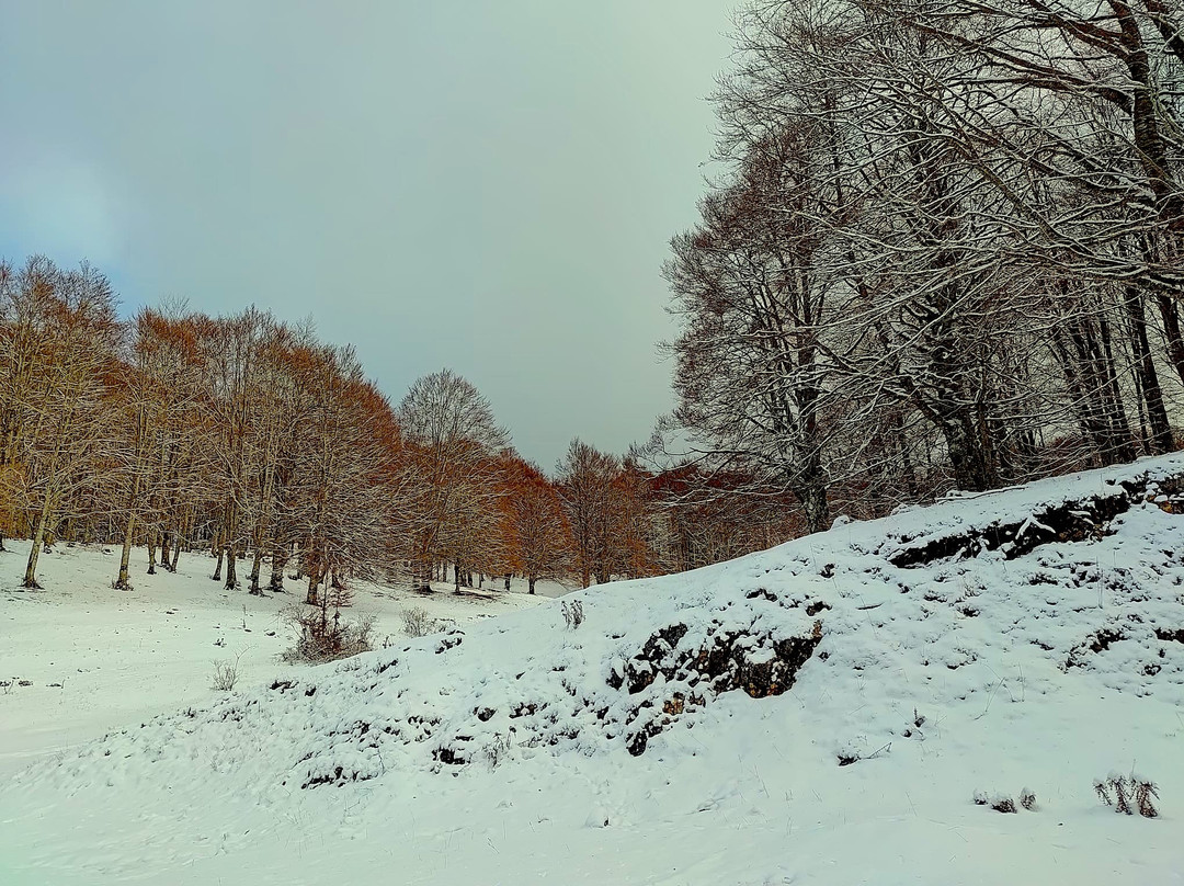 Monte Livata-Subiaco必去景点