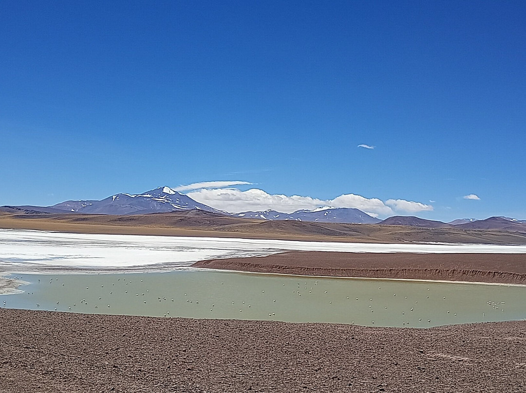 Laguna Brava-null必去景点