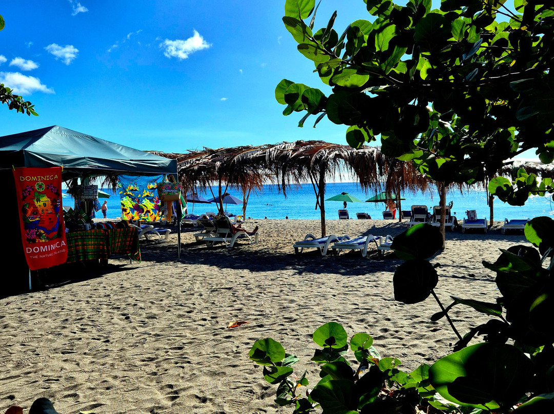 Sheppee Fun Tours Dominica-罗索必去景点