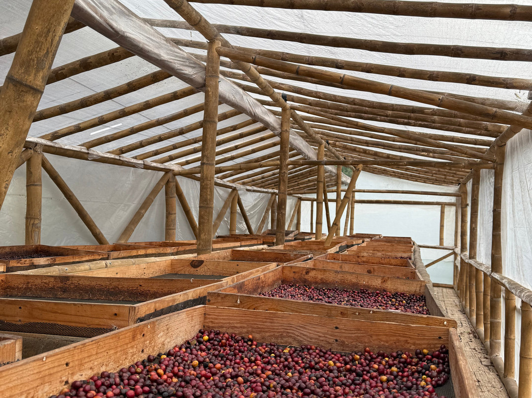 Cafe Tio Conejo-Manizales必去景点