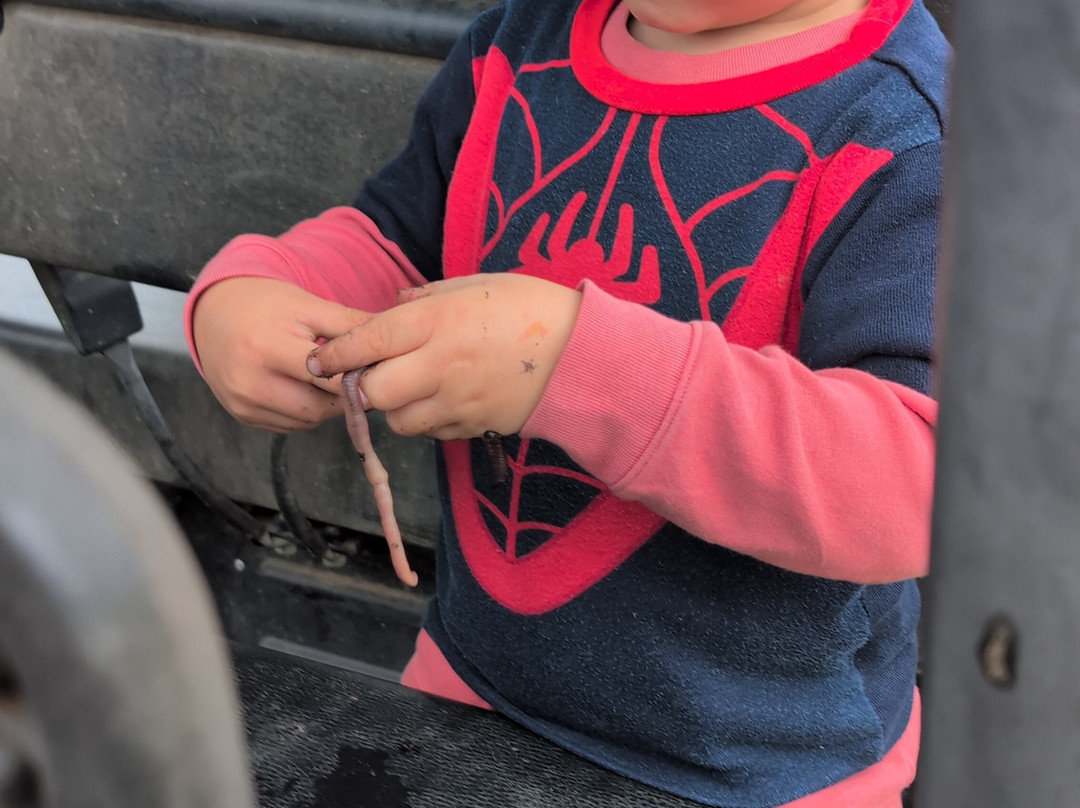 Gardner Tours-哈瓦那必去景点