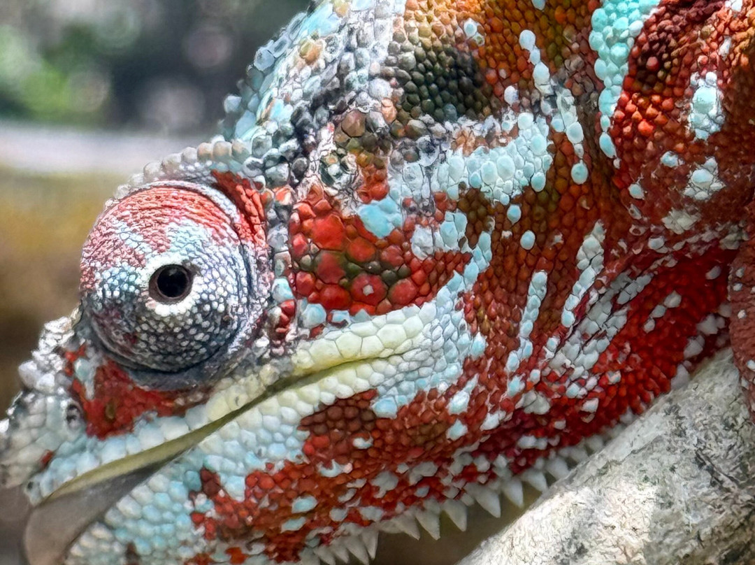 Madarako Tours-安塔那那利佛必去景点