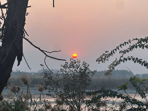 Olive Trotter Resort