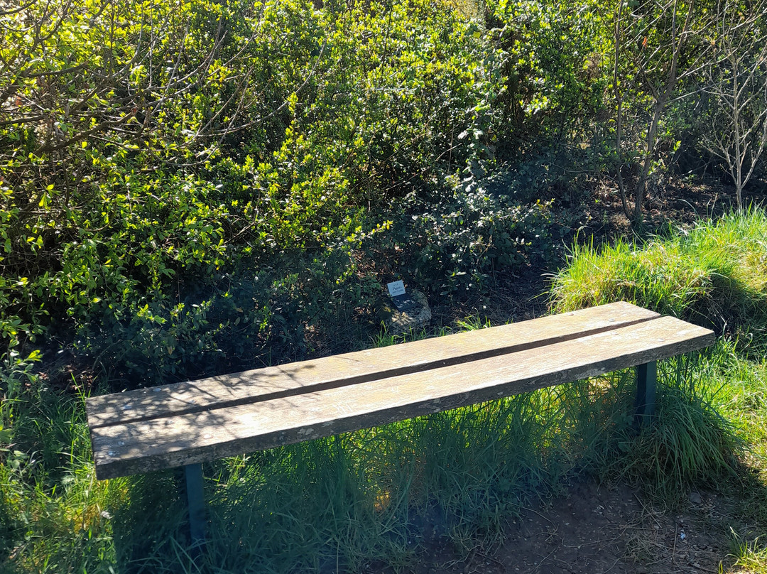Molesey Heath Nature Reserve-West Molesey必去景点