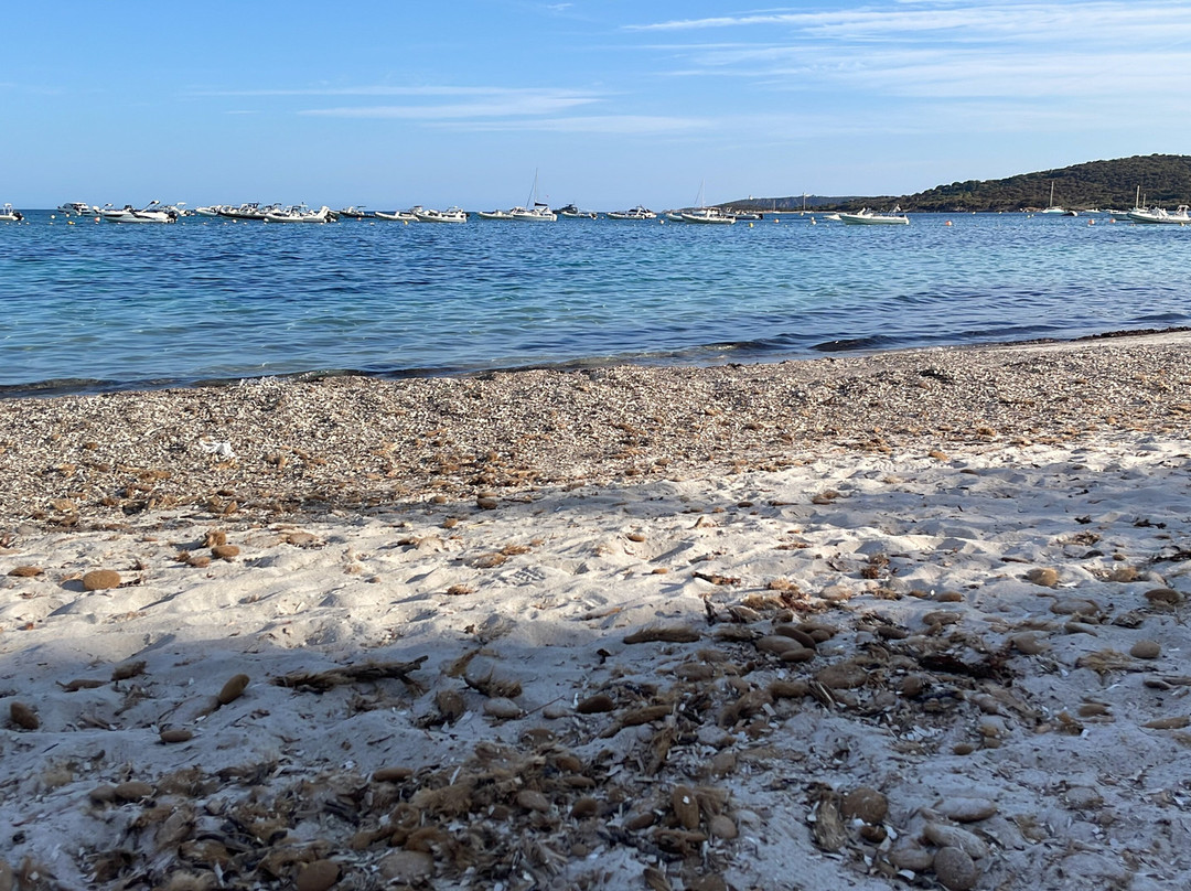 Plage Saint-Cyprien-维琪奥港必去景点