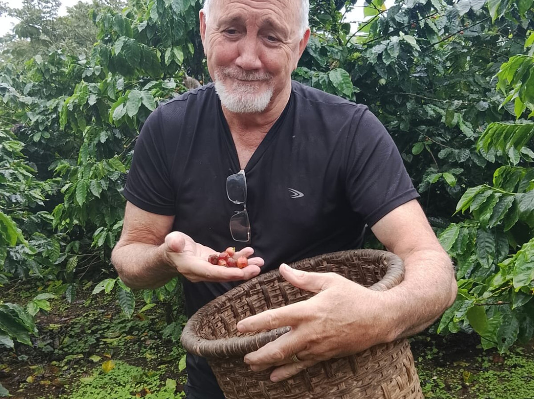 Cafe & Cacao Tour Bijagua-Bijagua de Upala必去景点