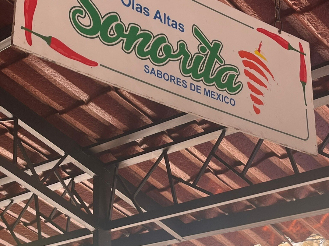 Vallarta Food Tours-瓦拉塔港必去景点