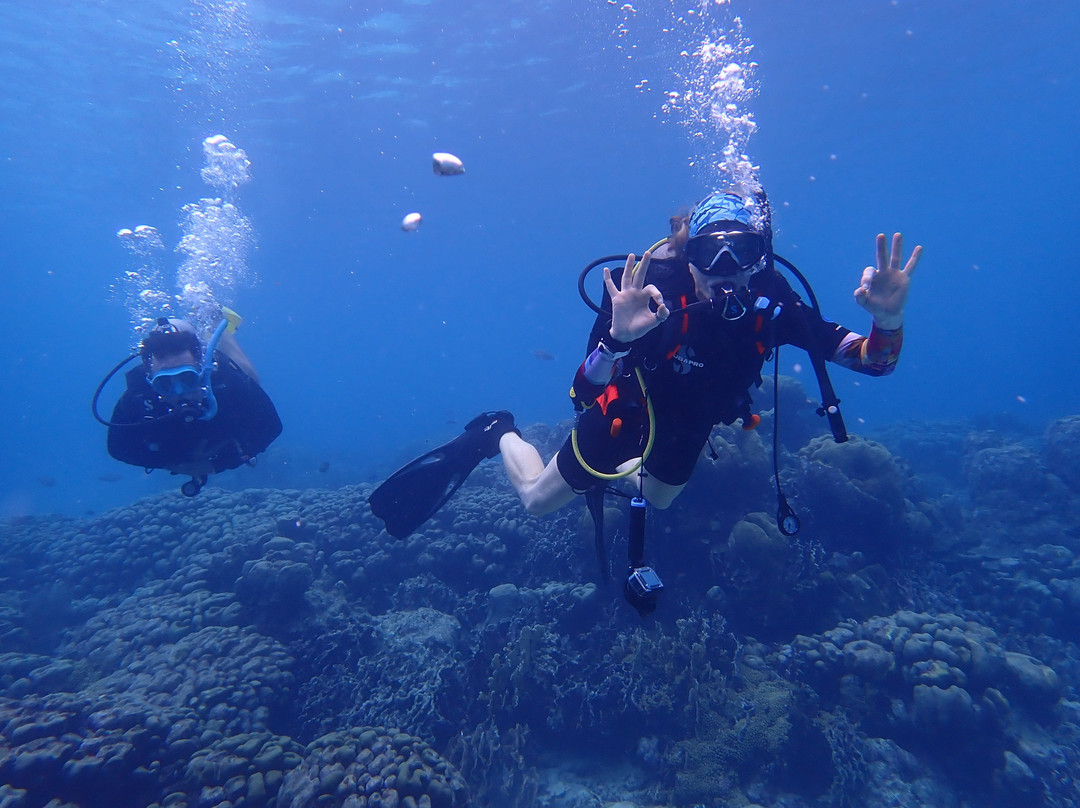 JADS Dive Center-San Nicolas必去景点