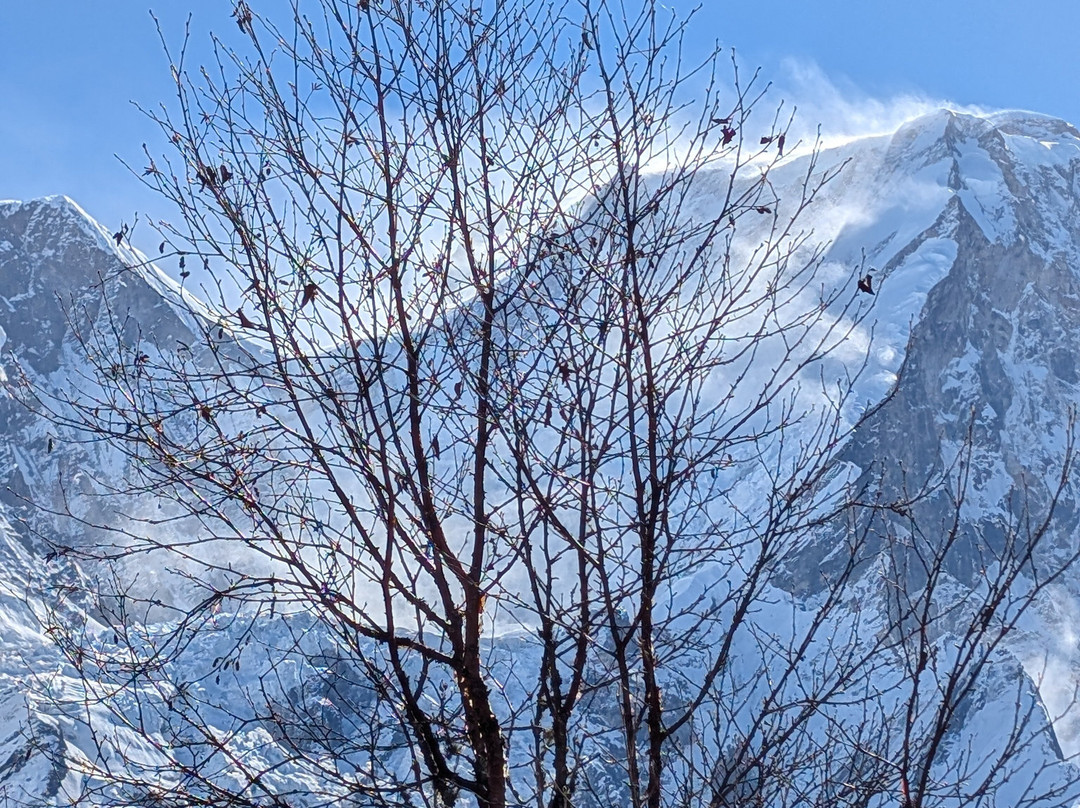 Glacier Family Treks & Expedition-加德满都必去景点