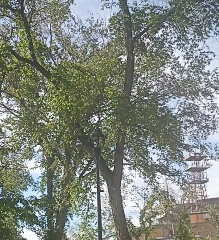 Victoria Park-里贾纳必去景点