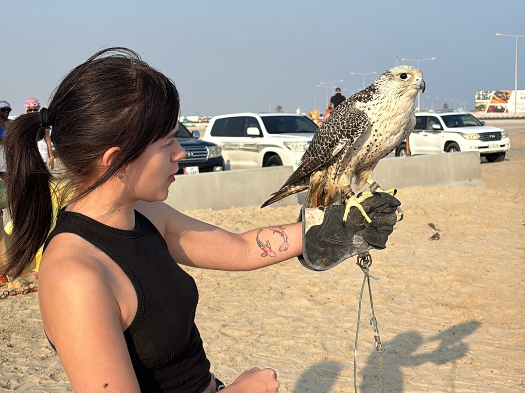 Doha Adventure & Tours-多哈必去景点