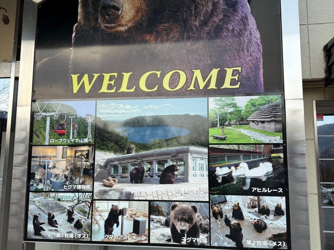 登别熊牧场-登别市必去景点