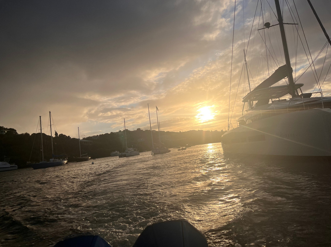 Dolphin Water Taxi-圣 托马斯必去景点