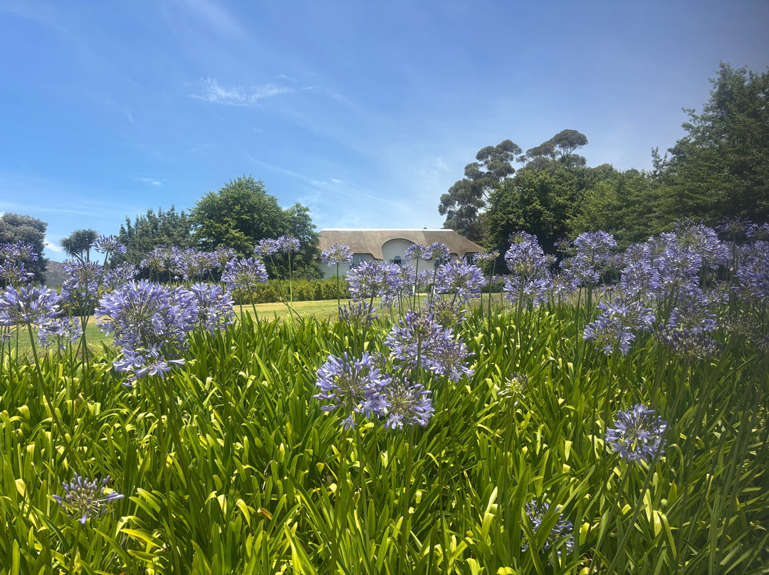 Mont Rochelle Hotel & Vineyard-法兰舒克必去景点
