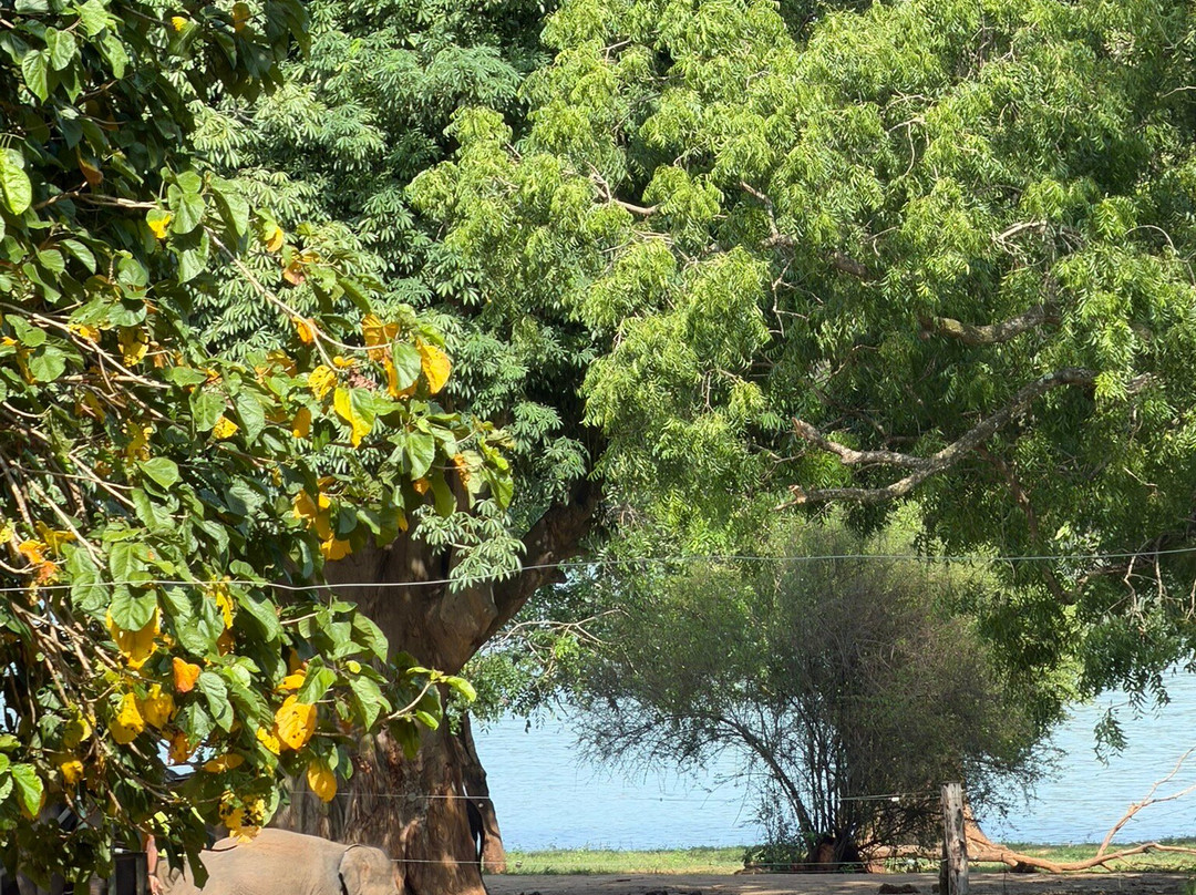 One & Only Travels-Kurunegala必去景点