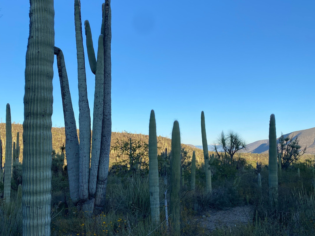 Bio Fan-Tehuacan必去景点