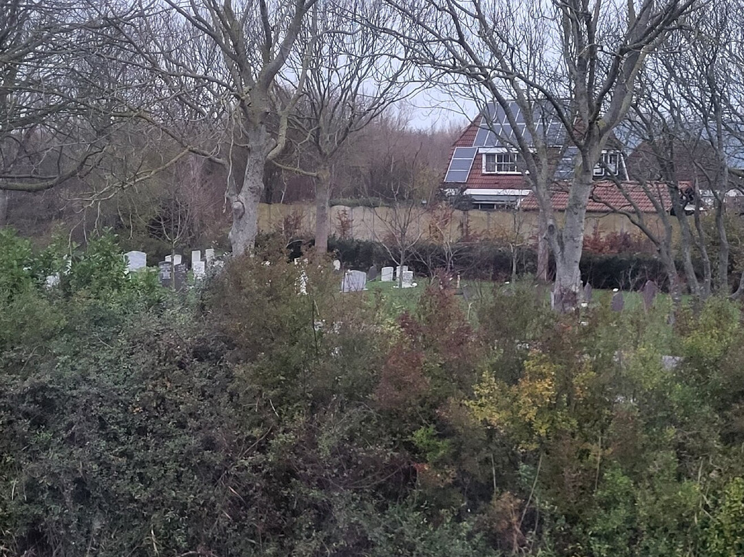 Villa Zoutelande主图