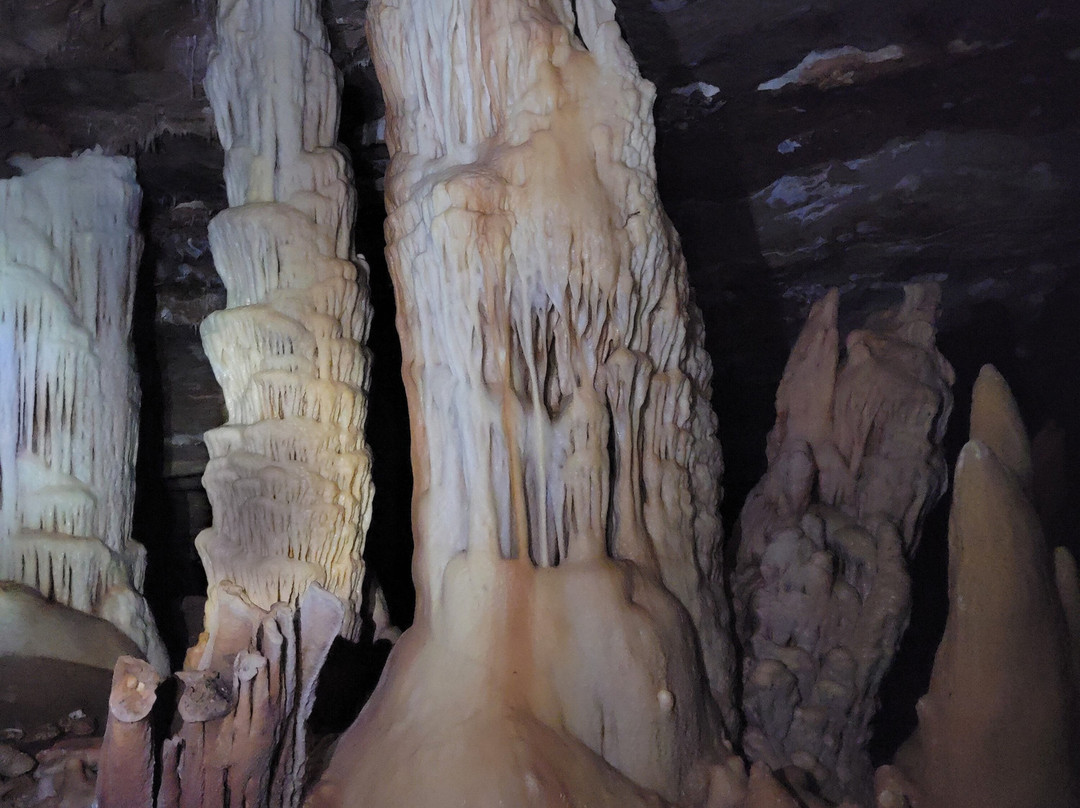 Missouri Institute of Natural Science-斯普林菲尔德必去景点