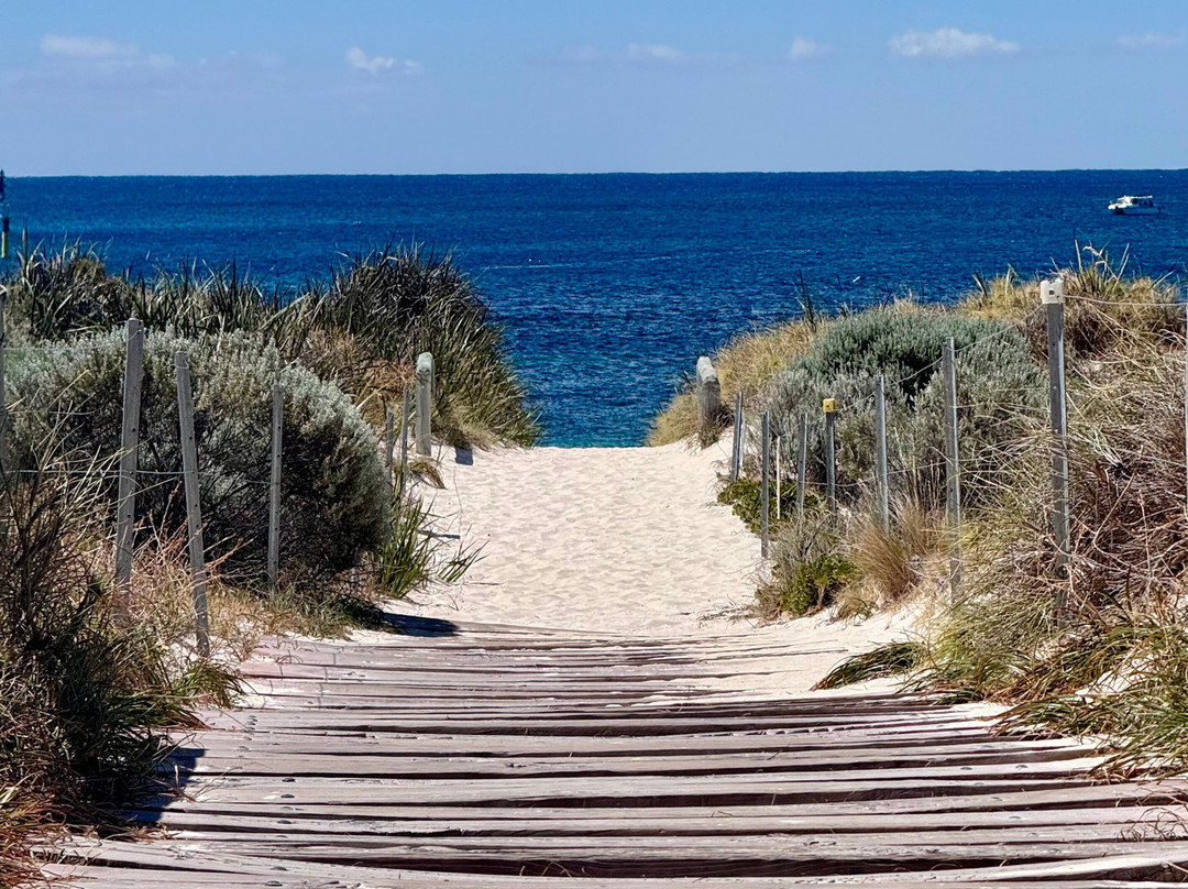Pinky Beach-罗特尼斯岛必去景点