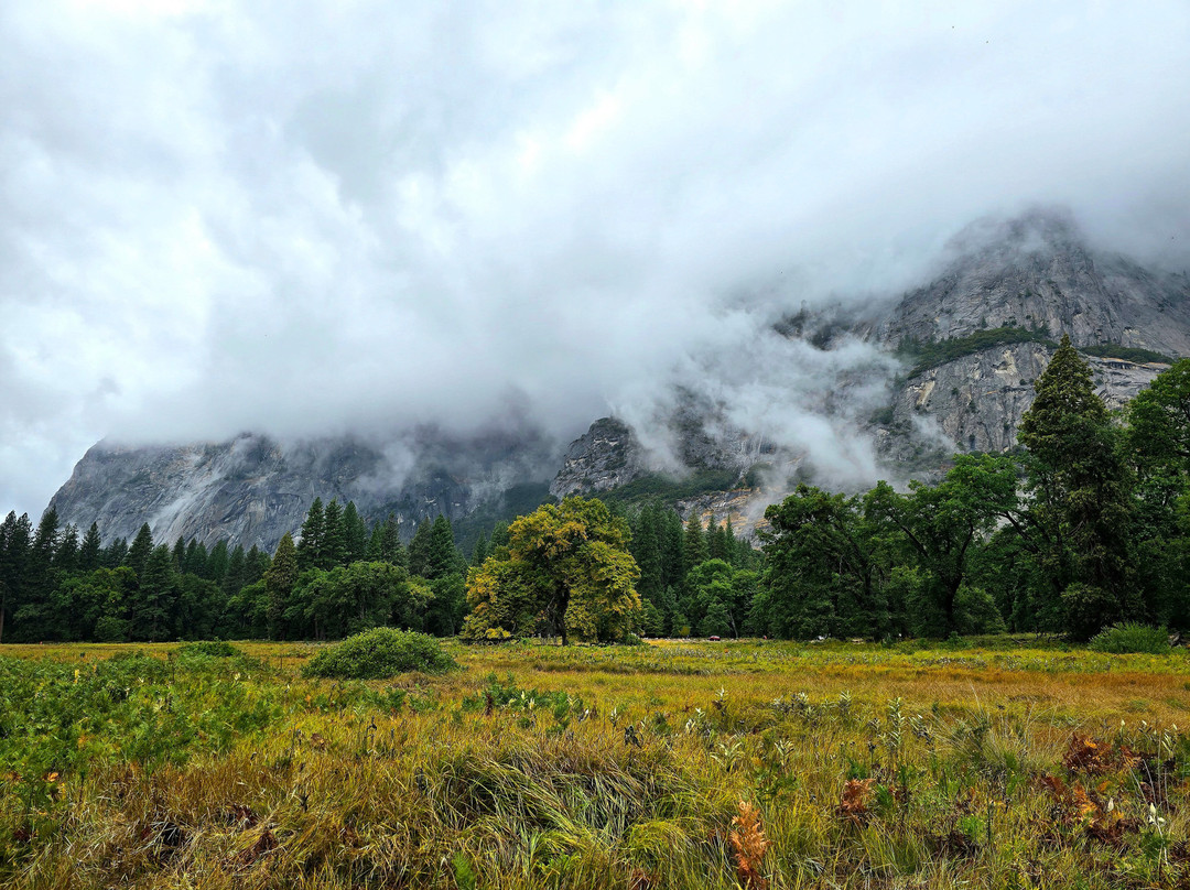 Cooks Meadow Loop-优胜美地国家公园必去景点