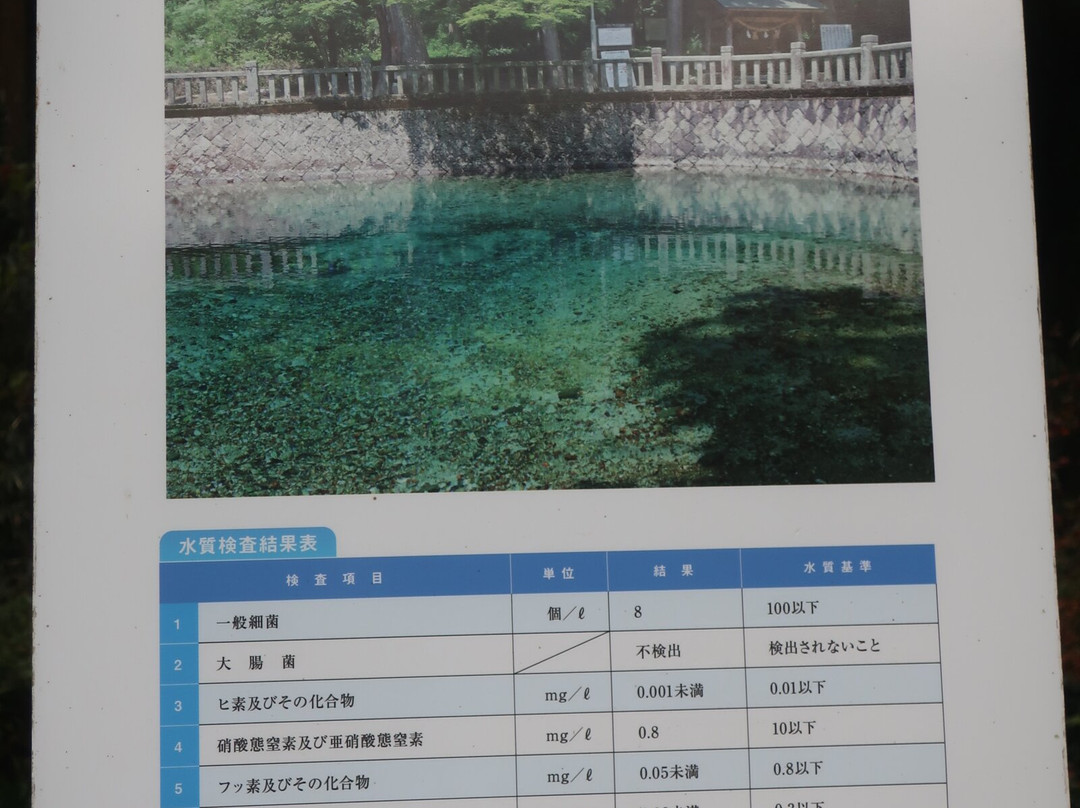 別府弁天池湧水-美祢市必去景点