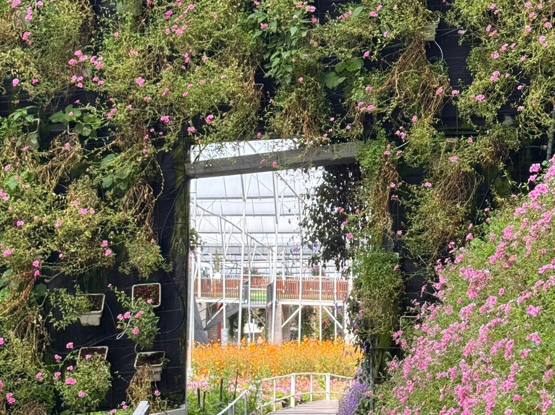 Cameron Highlands Flora Park-碧兰璋必去景点