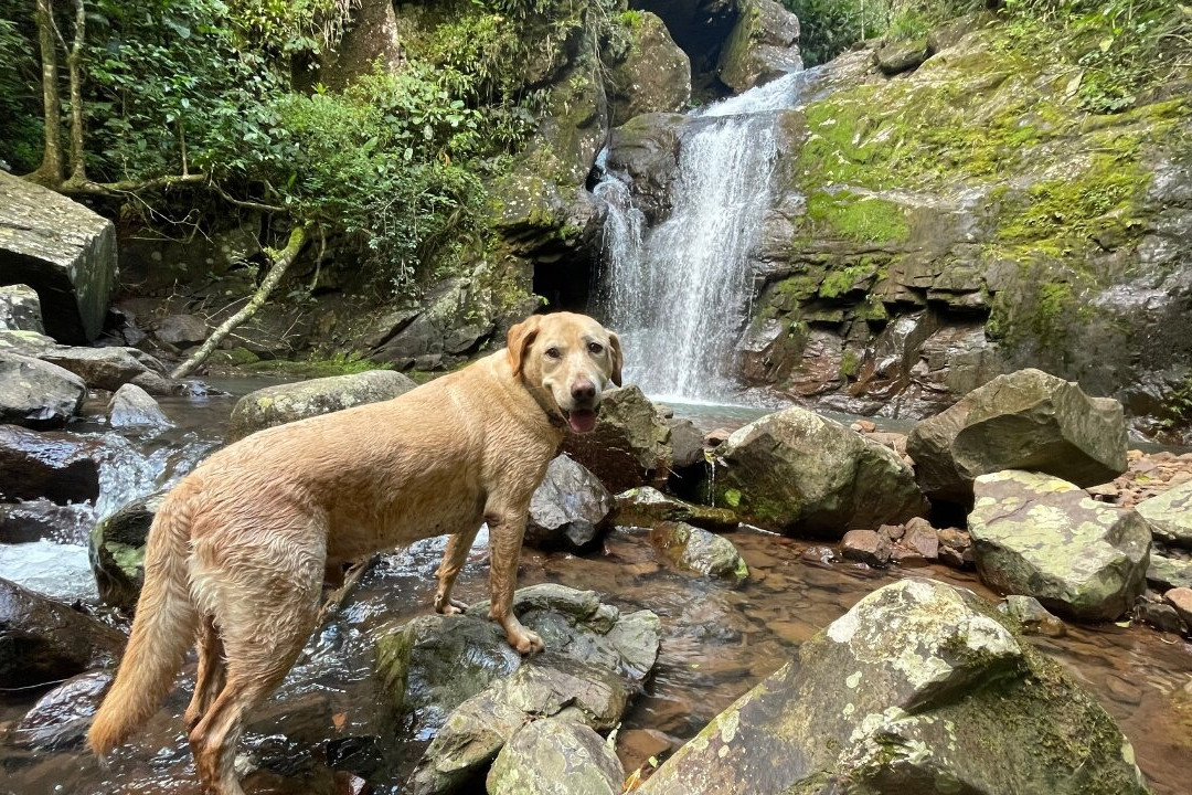 Cachoeira dos Inácios-Praia Grande必去景点