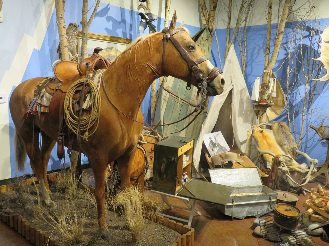 Jackson Hole History Museum - History Jackson Hole-杰克逊必去景点