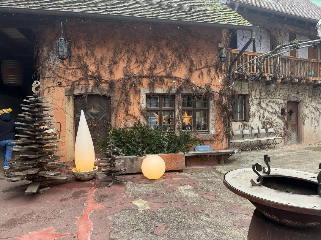 Domaine Albert Seltz-米特贝汉必去景点