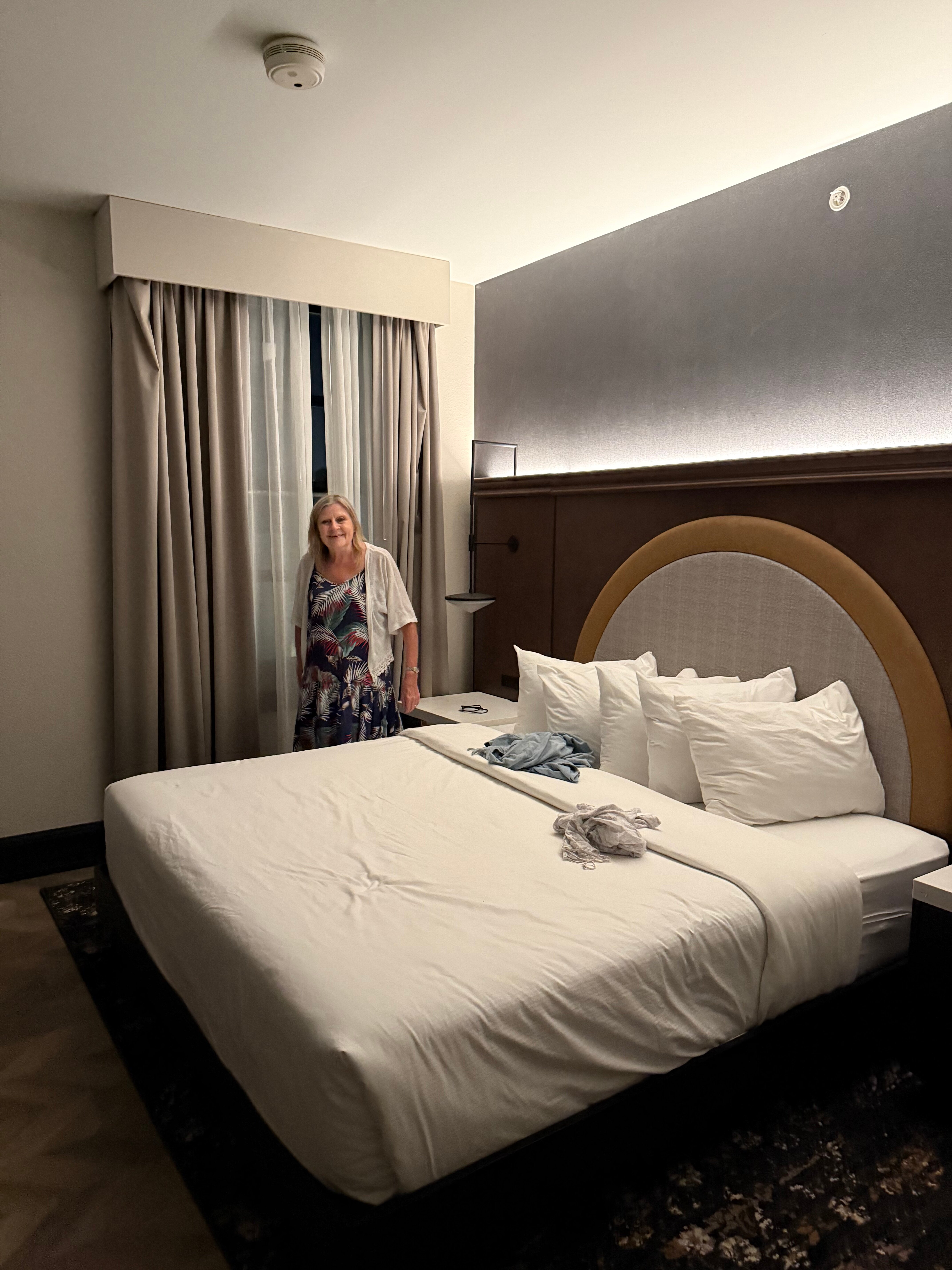 Hampton Inn & Suites Birmingham-Downtown-Tutwiler-客卧