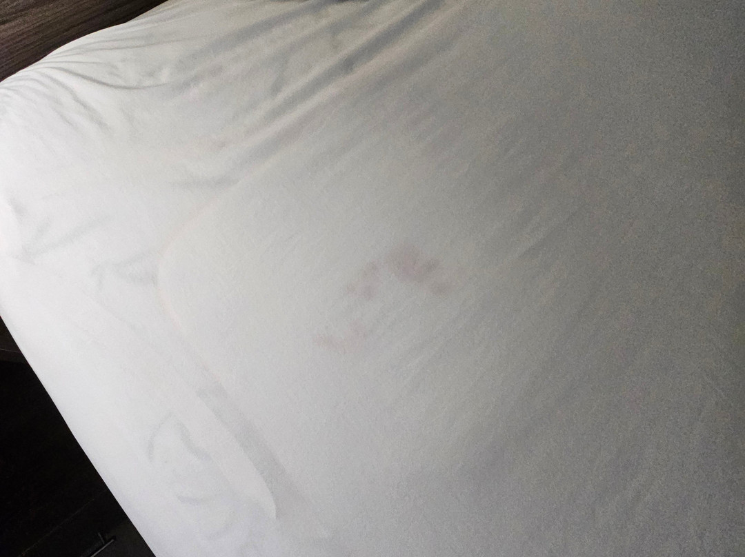 La Quinta Inn & Suites by Wyndham Sevierville / Kodak主图