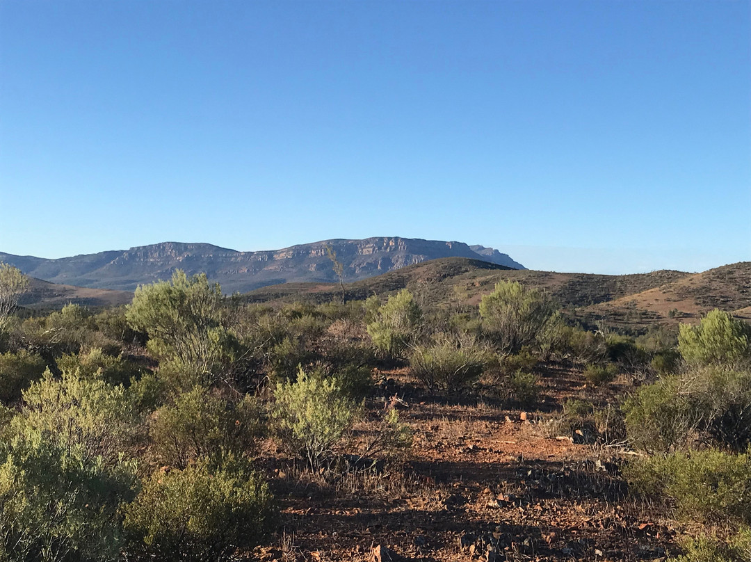 Flinders Ranges National Park-霍克必去景点