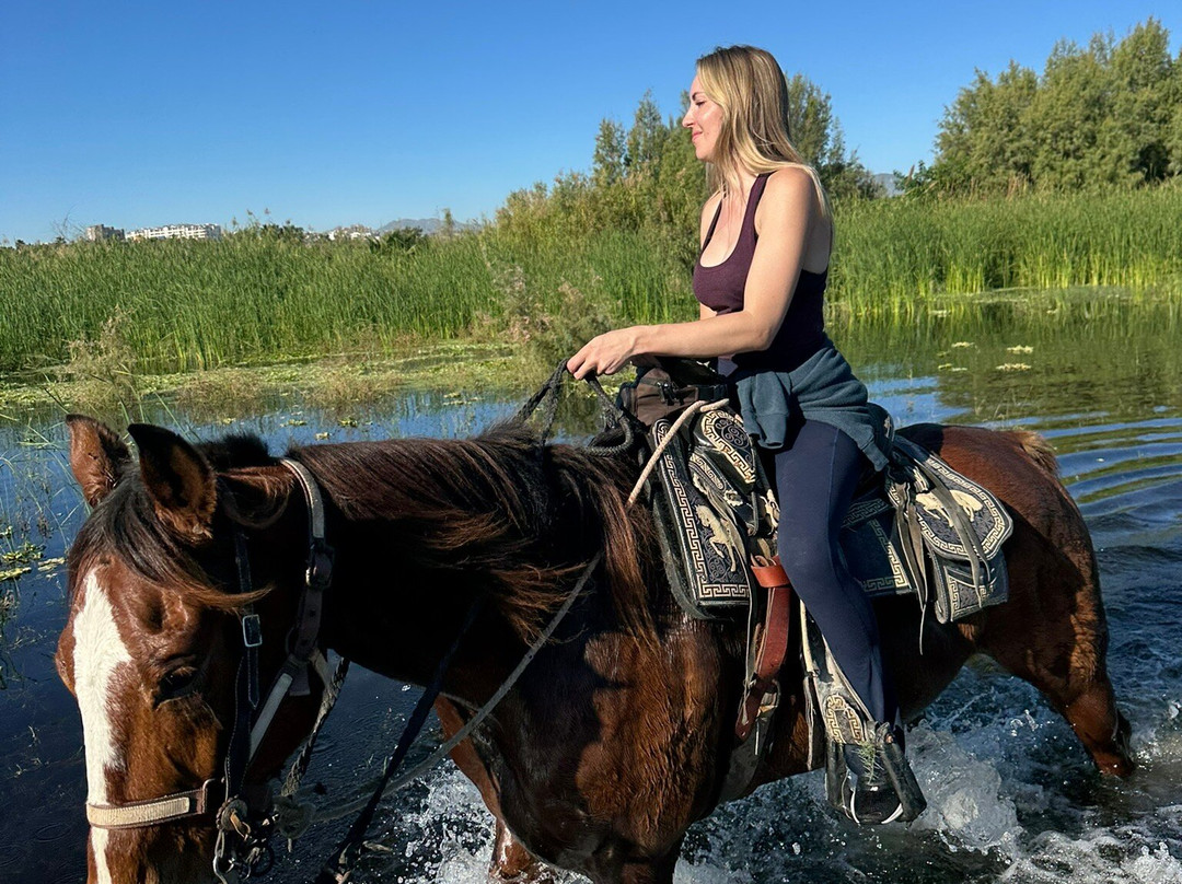 Rancho Animas-Animas Bajas必去景点