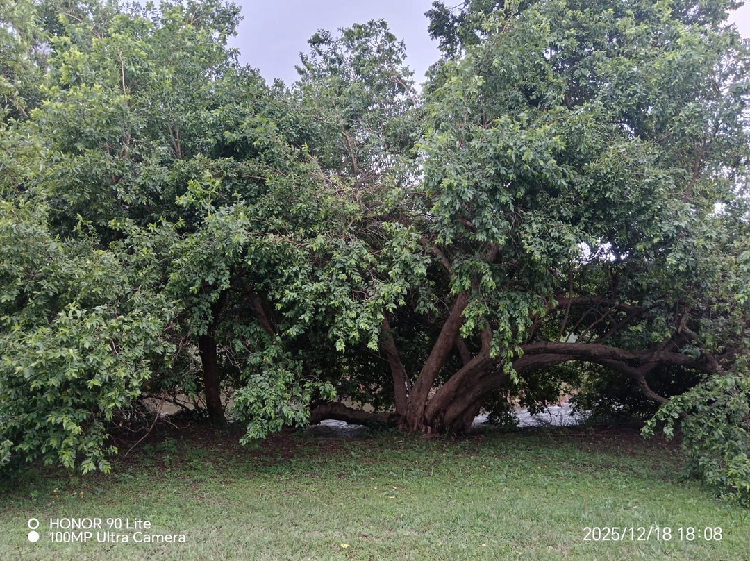 Aqua Terra Guest House主图