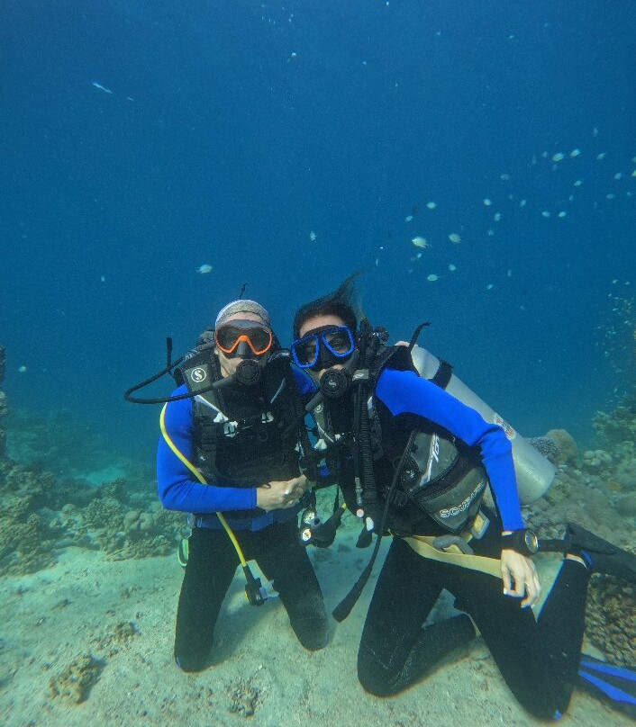 Diving Bubbles-Yanbu必去景点