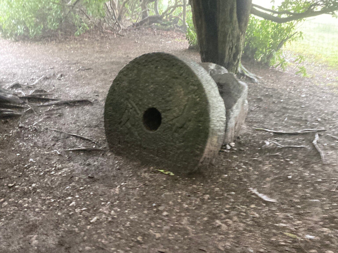 Longshaw Estate-峰区国家公园必去景点