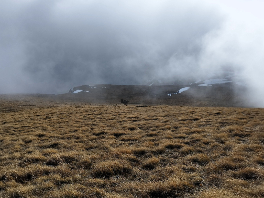 Piani Di Ragnolo-Bolognola必去景点