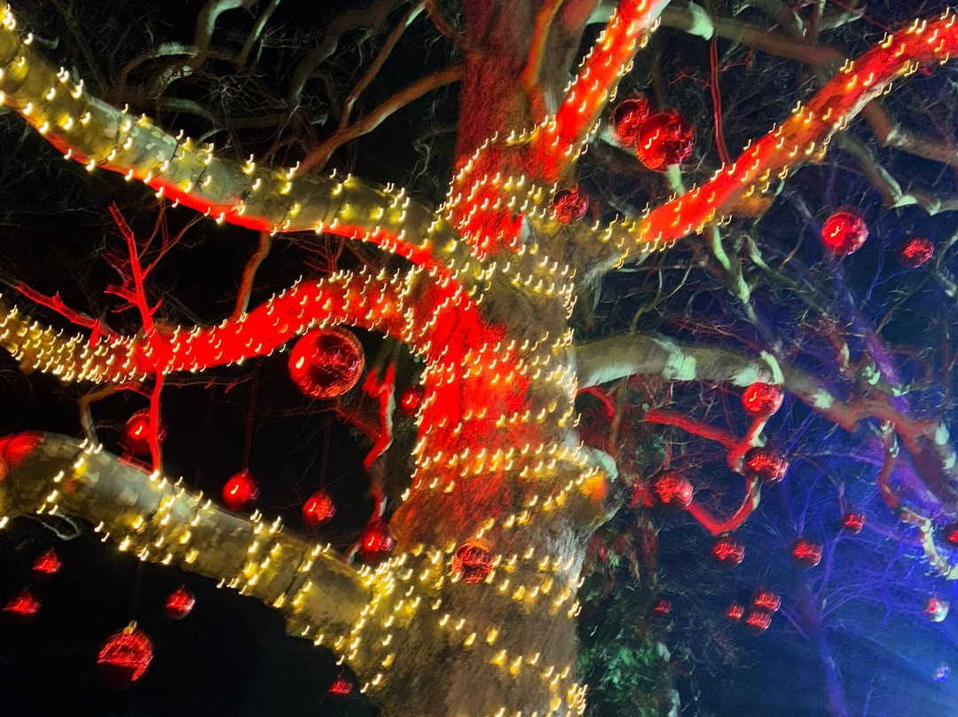 Audley End Miniature Railway-Saffron Walden必去景点