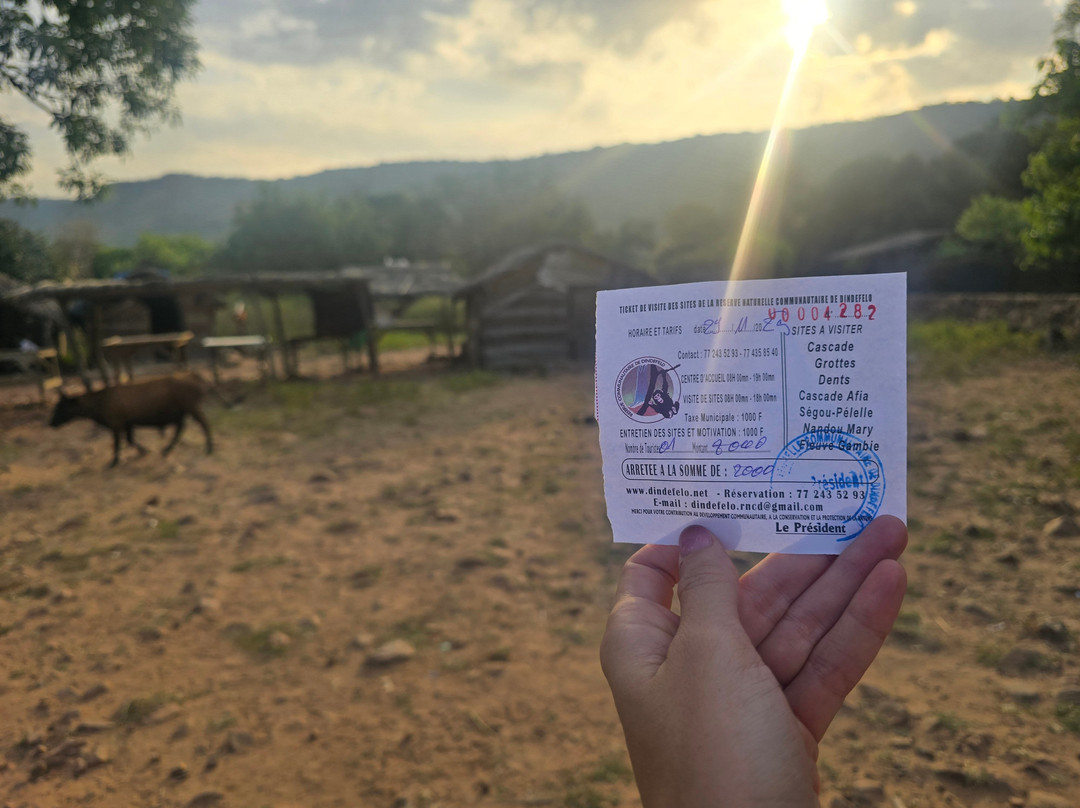 Saliou Diallo - Trekking Guide-Kedougou必去景点