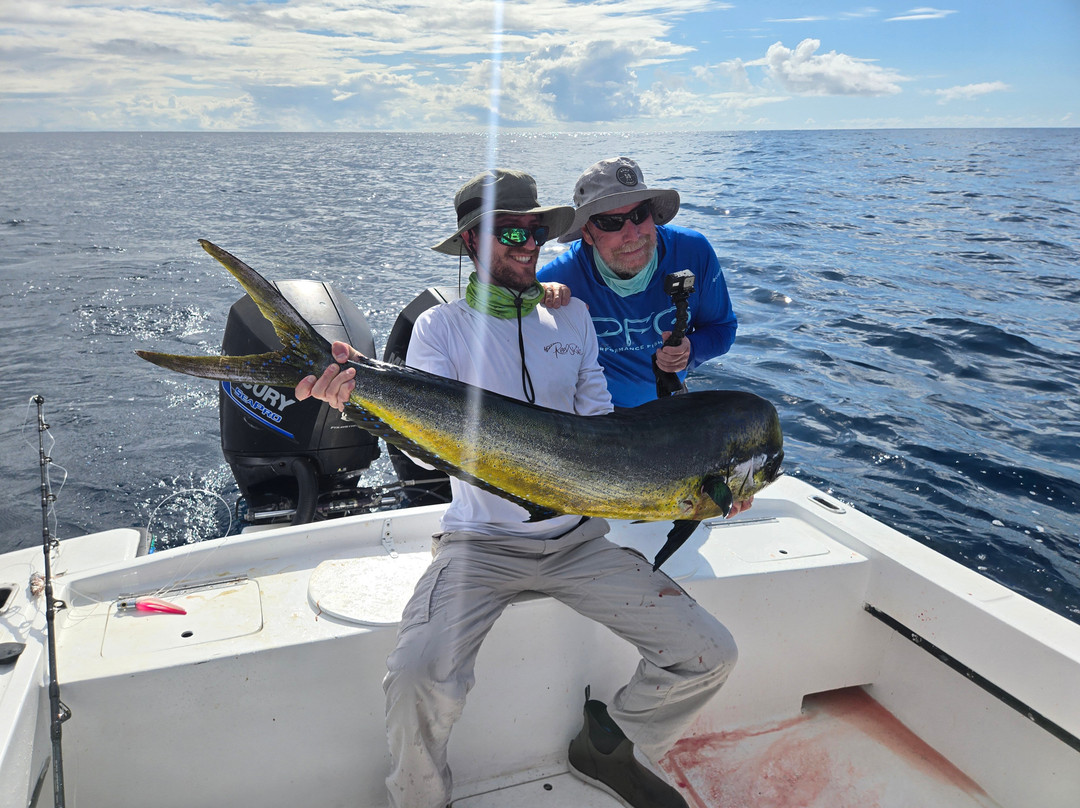 Bahia Rica Fishing and Kayak Lodge主图