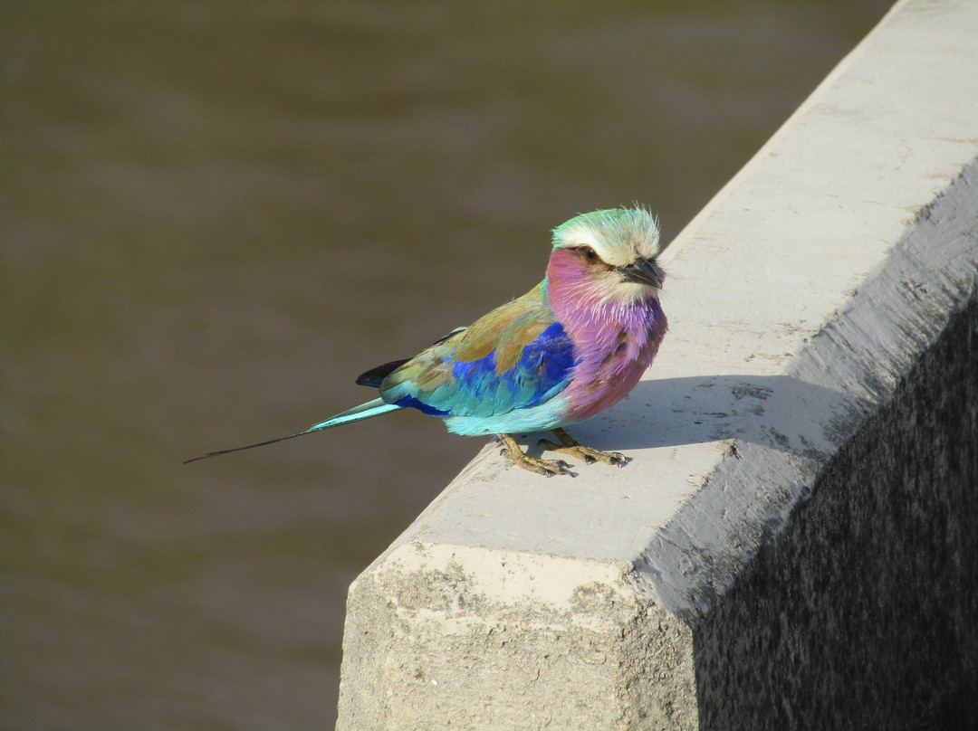 Snyman Safaris-南帚必去景点