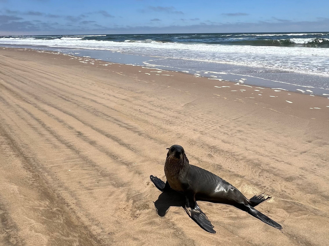 iVenture Sandwich Harbor Tours & Guides-华维斯湾必去景点