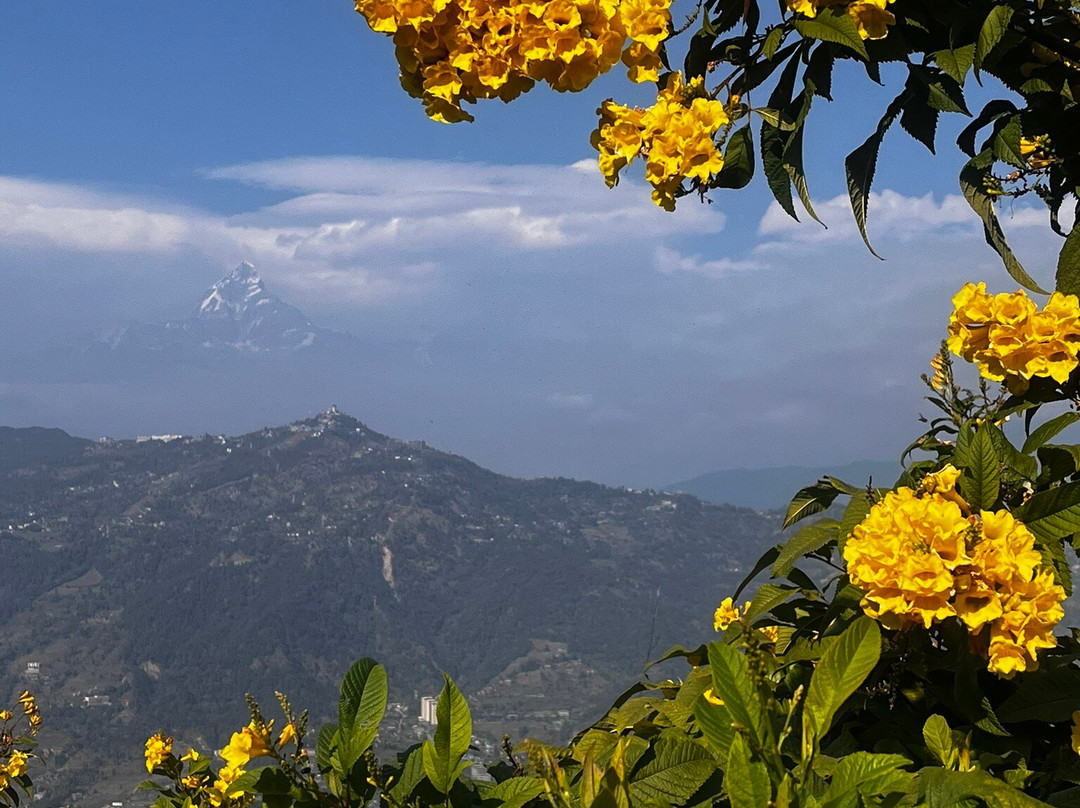 Pagoda della Pace-Comiso必去景点