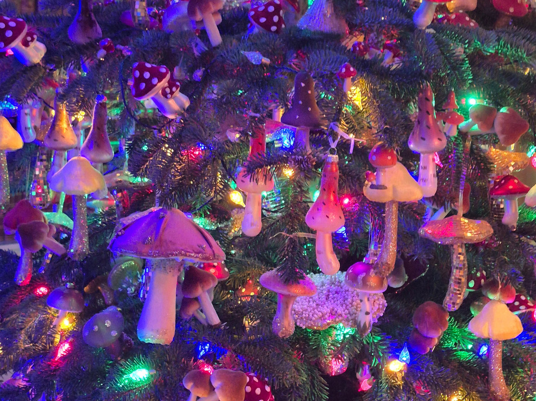 Polesden Lacey-Great Bookham必去景点