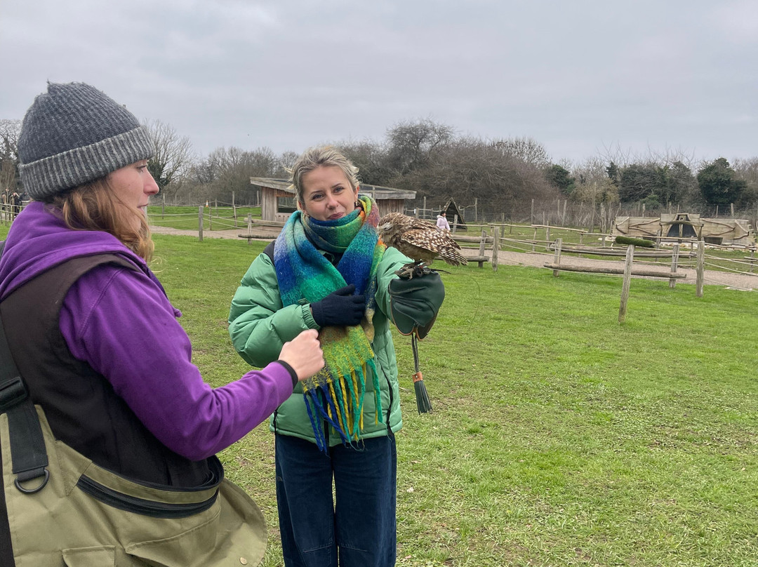 Coda Falconry-豪恩斯洛必去景点
