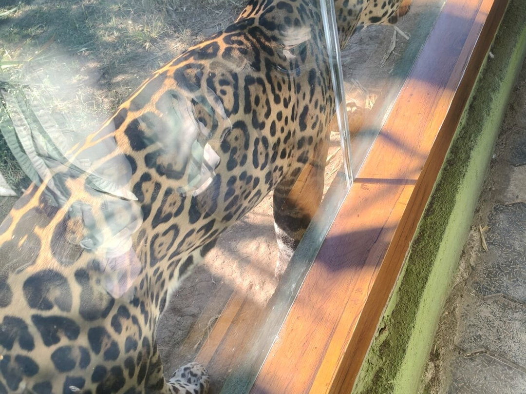 Sardar Patel Zoological Park-Kevadia必去景点