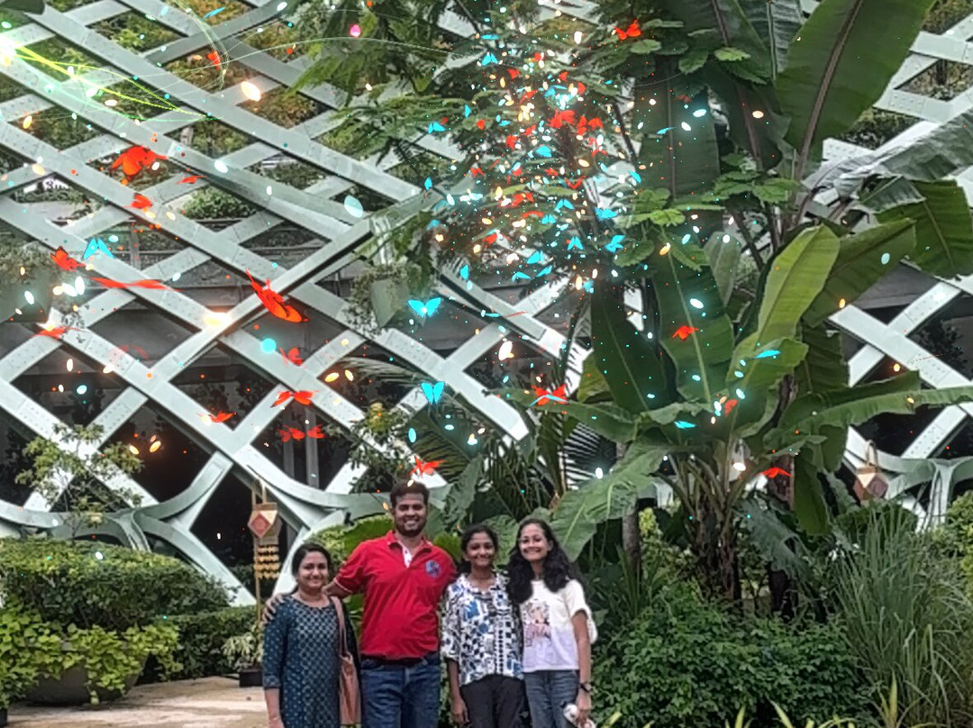 Sentosa SensoryScape-新加坡必去景点