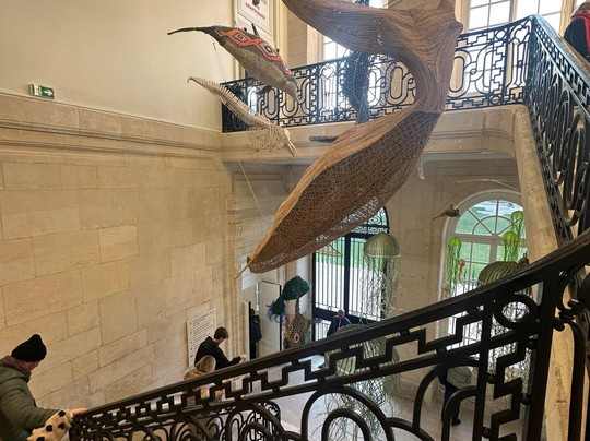 Muséum d'Histoire Naturelle-勒阿弗尔必去景点