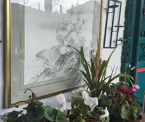 Finca Campestre La Adelita B&B主图